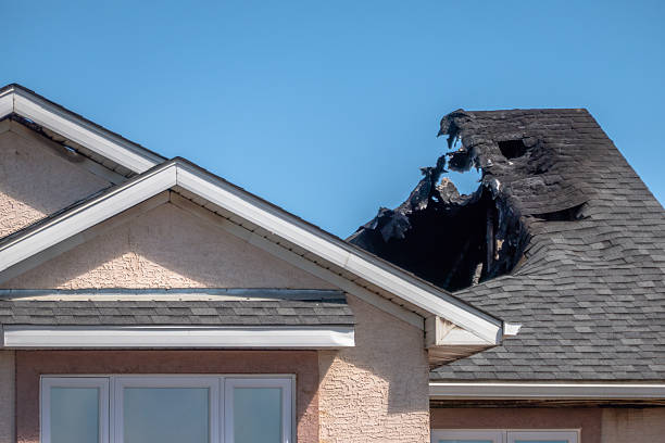 Top rated local Fire Damage Removal specialists in Ravensdale, WA